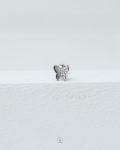 butterfly half straus silver piercing (copy)