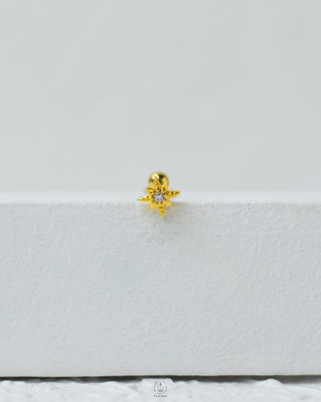 quarter strus flower piercing (copy)