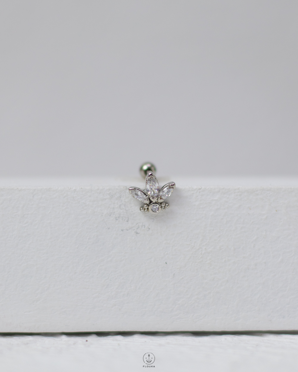 1746634032_c0076.jpg silver strus piercing