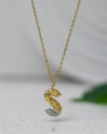 litter S mix silver & gold strus necklace
