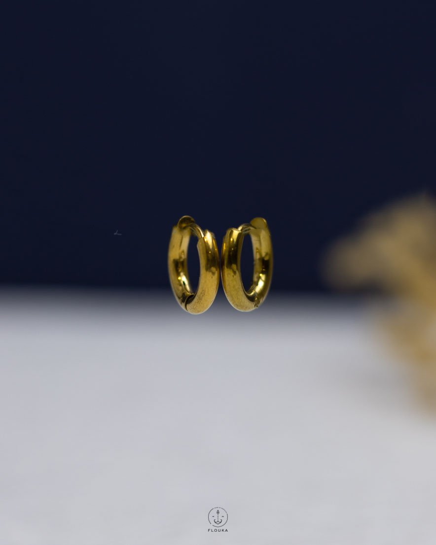 1764184851_e0926.jpg tiny basic gold earring