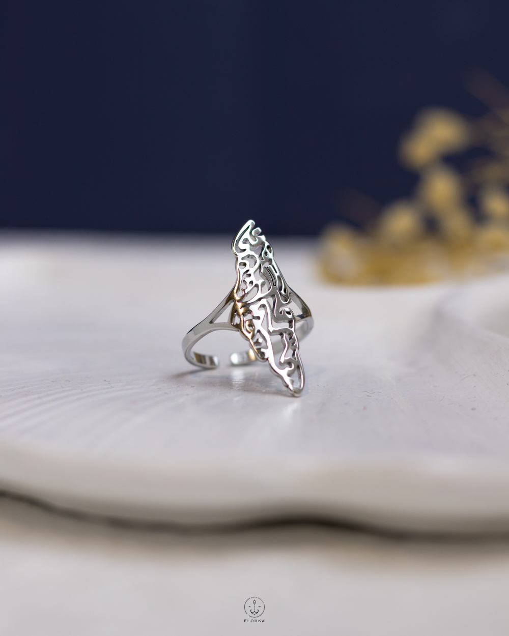 1764453820_r1169.jpg free size silver Palestine ring