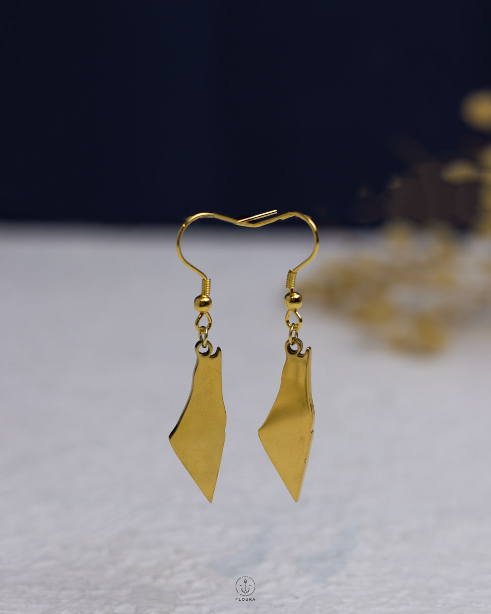 1764453856_e0930.jpg gold Palestine map earring